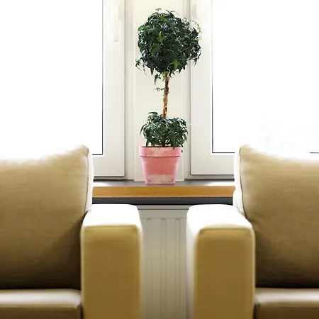 酒店 安克劳史特酒店 4*